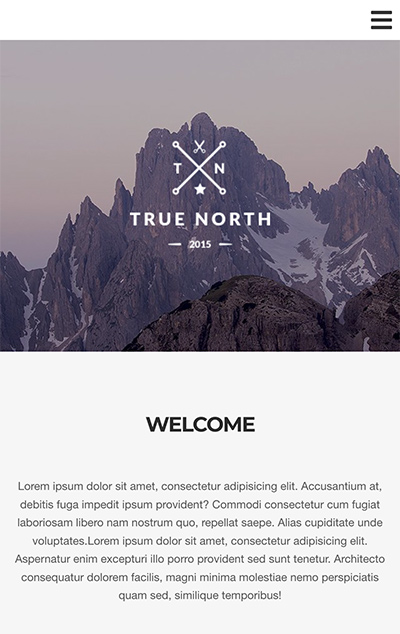 Mobile screenshot of True North WordPress theme